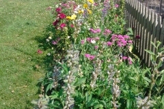 A view inside the garden