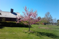 Sweet-Anthony House c. 1730