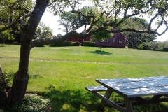 A view from the picnic table