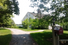 A view through the trees